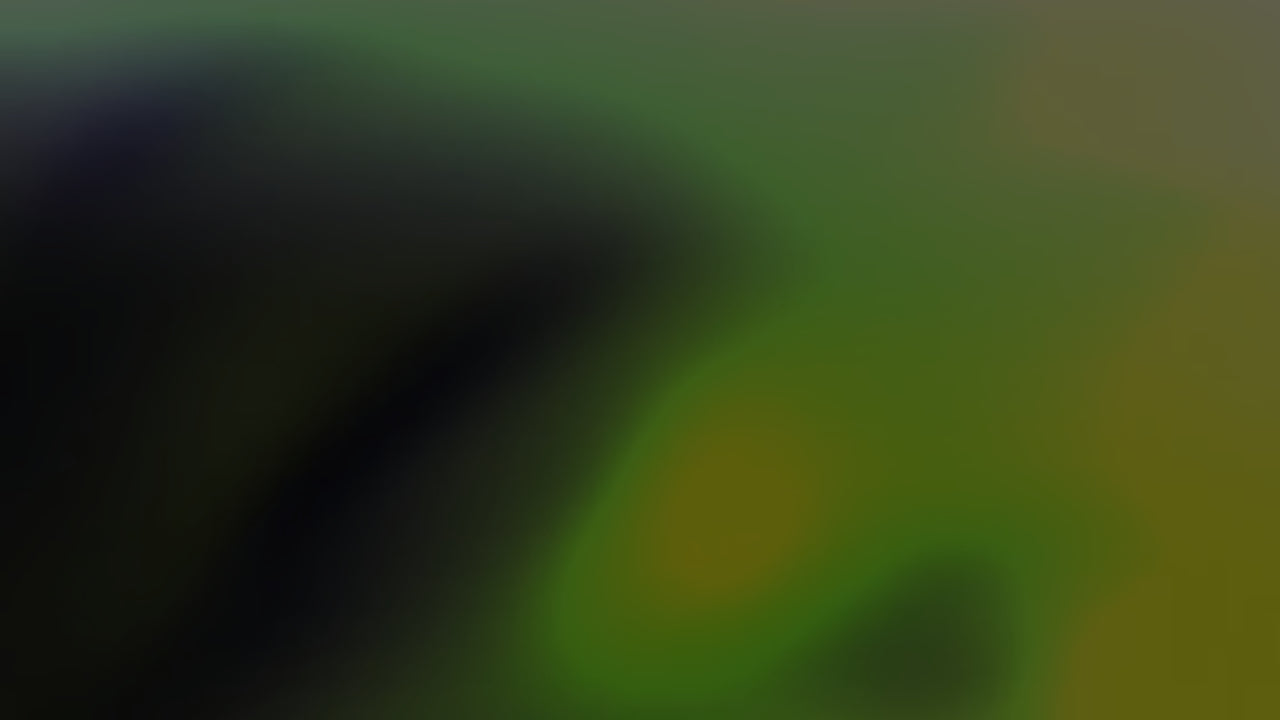 THE GABRIELLI Collection