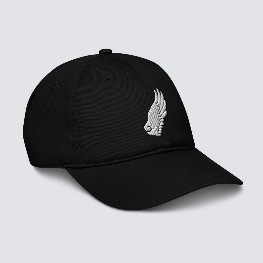 The Gabrielli Wing Organic Cotton Cap in Black
